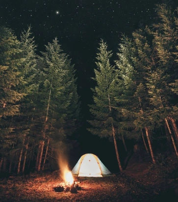 Obóz w środku lasu oświetlony ogniskiem, noc