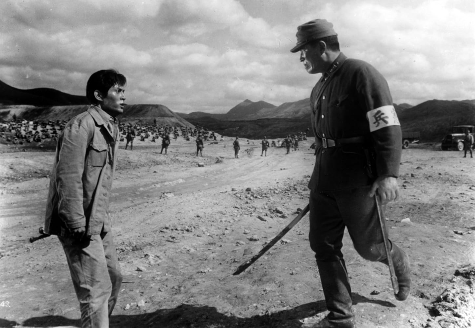 Dola Człowiecza: humanizm w obliczu dehumanizacji