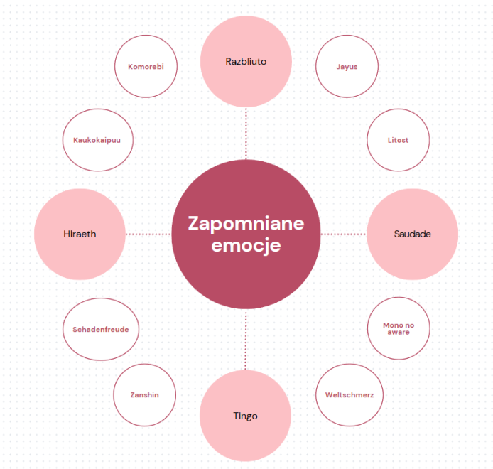 Słownik zapomnianych emocji